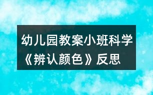 幼兒園教案小班科學(xué)《辨認(rèn)顏色》反思