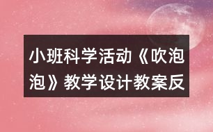 小班科學活動《吹泡泡》教學設計教案反思