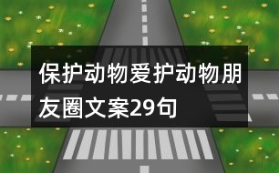 保護動物、愛護動物朋友圈文案29句