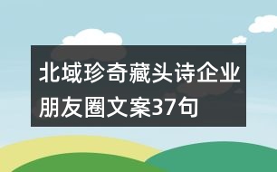 北域珍奇藏頭詩(shī)企業(yè)朋友圈文案37句