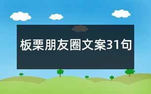 板栗朋友圈文案31句