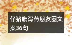 仔豬腹瀉藥朋友圈文案36句