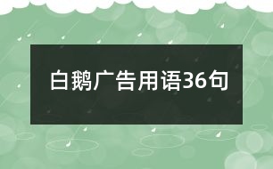 白鵝廣告用語36句