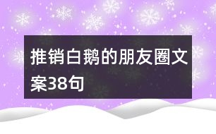 推銷白鵝的朋友圈文案38句