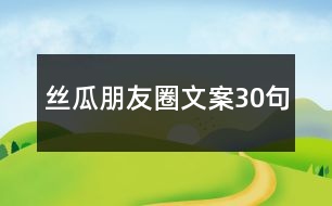 絲瓜朋友圈文案30句