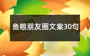 魚(yú)糧朋友圈文案30句