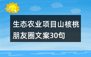 生態(tài)農(nóng)業(yè)項(xiàng)目山核桃朋友圈文案30句