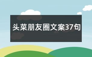 頭菜朋友圈文案37句