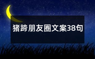 豬蹄朋友圈文案38句