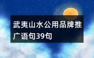 武夷山水公用品牌推廣語句39句