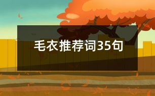 毛衣推薦詞35句