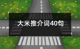 大米推介詞40句