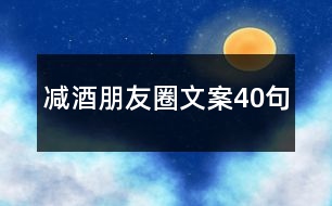 減酒朋友圈文案40句