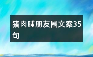 豬肉脯朋友圈文案35句