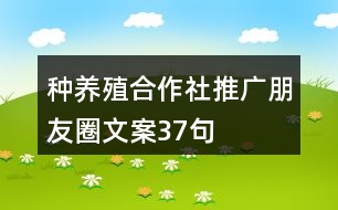 種養(yǎng)殖合作社推廣朋友圈文案37句