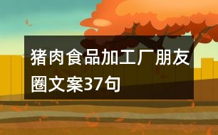 豬肉食品加工廠朋友圈文案37句