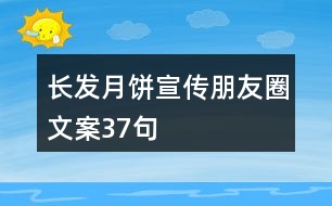 長發(fā)月餅宣傳朋友圈文案37句