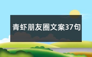 青蝦朋友圈文案37句