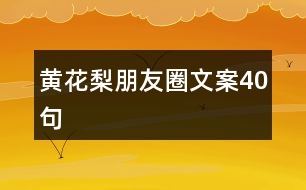 黃花梨朋友圈文案40句