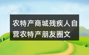 農(nóng)特產(chǎn)商城、殘疾人自營農(nóng)特產(chǎn)朋友圈文案38句