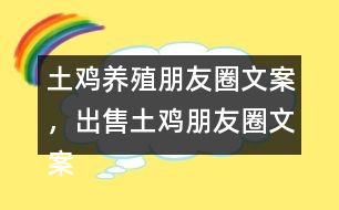 土雞養(yǎng)殖朋友圈文案，出售土雞朋友圈文案37句