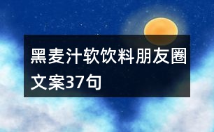 黑麥汁軟飲料朋友圈文案37句