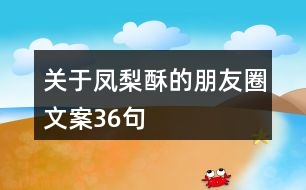 關于鳳梨酥的朋友圈文案36句