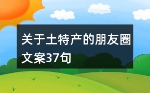 關(guān)于土特產(chǎn)的朋友圈文案37句