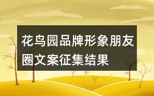 “花鳥園”品牌形象朋友圈文案征集結(jié)果39句