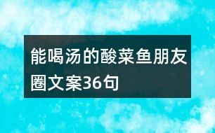 能喝湯的酸菜魚朋友圈文案36句