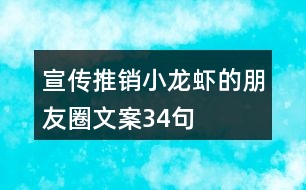 宣傳推銷小龍蝦的朋友圈文案34句