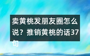 賣黃桃發(fā)朋友圈怎么說(shuō)？推銷黃桃的話37句