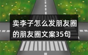 賣李子怎么發(fā)朋友圈的朋友圈文案35句