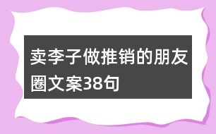 賣李子做推銷的朋友圈文案38句