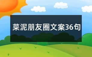 菜泥朋友圈文案36句