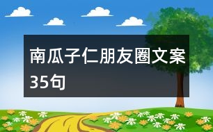 南瓜子仁朋友圈文案35句