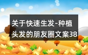 關(guān)于快速生發(fā)-種植頭發(fā)的朋友圈文案38句