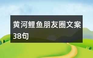 黃河鯉魚(yú)朋友圈文案38句