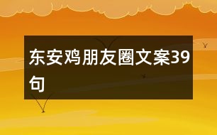 東安雞朋友圈文案39句