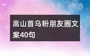 嵩山首烏粉朋友圈文案40句