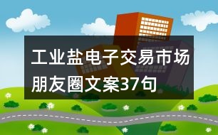 工業(yè)鹽電子交易市場(chǎng)朋友圈文案37句