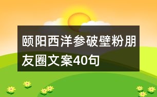 頤陽西洋參破壁粉朋友圈文案40句