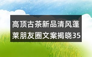 高頂古茶新品清風蓬萊朋友圈文案揭曉35句