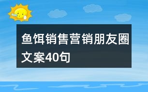 魚(yú)餌銷售營(yíng)銷朋友圈文案40句