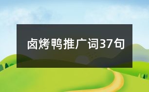 鹵烤鴨推廣詞37句