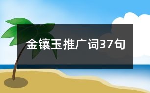 金鑲玉推廣詞37句