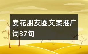 賣花朋友圈文案、推廣詞37句