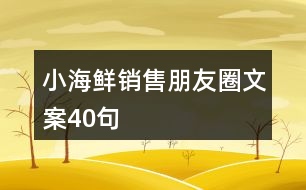 小海鮮銷售朋友圈文案40句