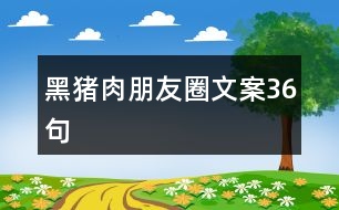 黑豬肉朋友圈文案36句