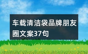 車載清潔袋品牌朋友圈文案37句